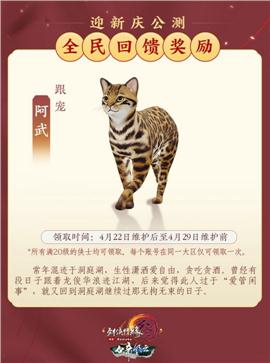 天龙八部私服技能栏